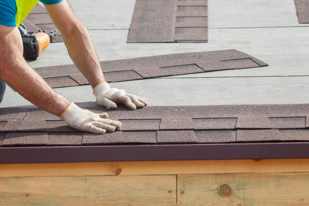 Best Roof Moss and Algae Removal  in Coushatta, LA